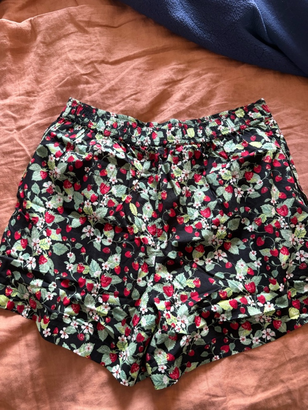 Anthropologie Black Floral & Strawberry High-Waist Shorts - Picture 5 of 5